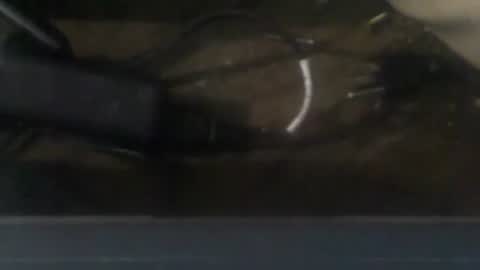 R online show from 12.20.24