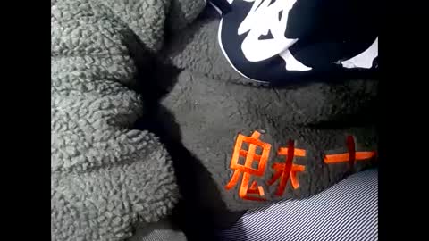 R online show from 03.01.25