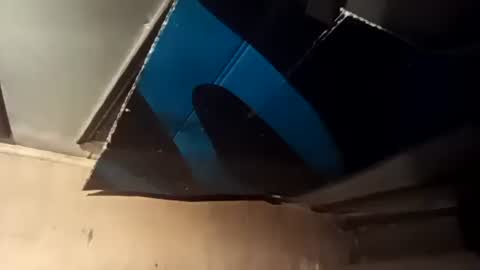 R online show from 10.02.25