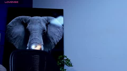 rocco_santos online show from 09.23.25