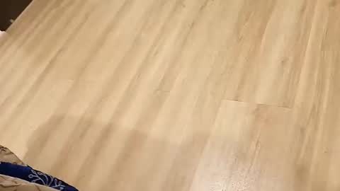 Snapshot of rockikoki chatting on 03.16.26 rockikoki online show from 03.16.26