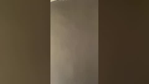 rogerbenid81 online show from 05.17.26