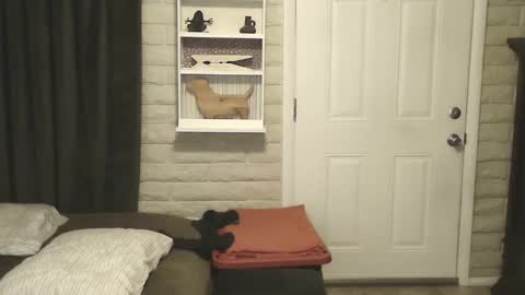 Snapshot of roinaz chatting on 01.25.25 roinaz online show from 01.25.25