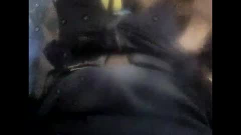 rollino83 online show from 11.06.25