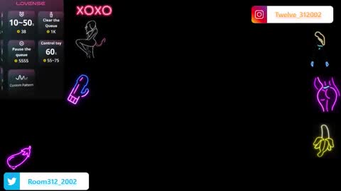 Snapshot of room312_ chatting on 12.03.25 Twelve 3 Inst Twelve 312002 Twitter Room312 2002 online show from 12.03.25