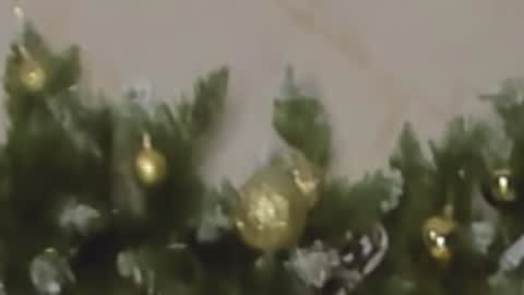 Snapshot of rosa1ia chatting on 12.27.24 Chloe online show from 12.27.24