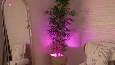 Rose  online show from 03.08.26