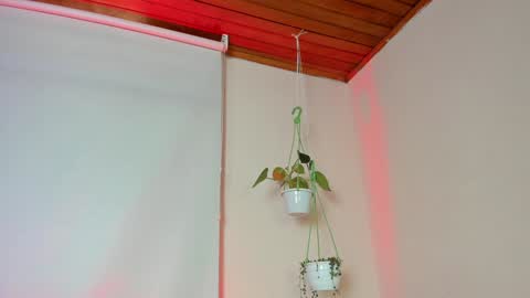 Lyla OF roselinedior online show from 02.04.25