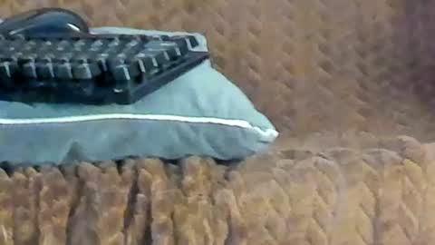 rouse_sexy_hotxx77 online show from 06.14.26