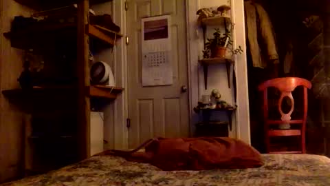 rp131313 online show from 11.15.25