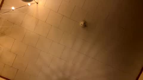 rp131313 online show from 01.10.26