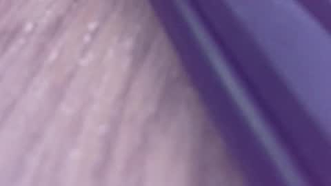 Snapshot of rudiandhisdick chatting on 03.26.26 rudiandhisdick online show from 03.26.26