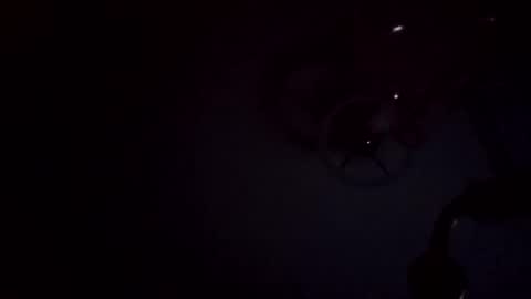 rudy11448 online show from 10.31.25