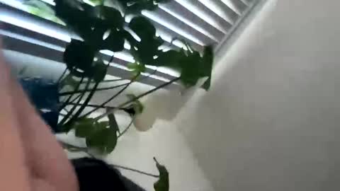 rula___1 online show from 02.04.26