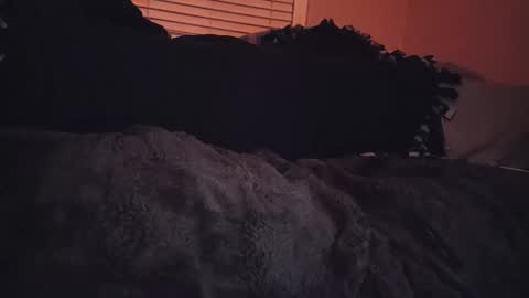 Snapshot of ryanfc85 chatting on 11.06.25 RFC666 online show from 11.06.25