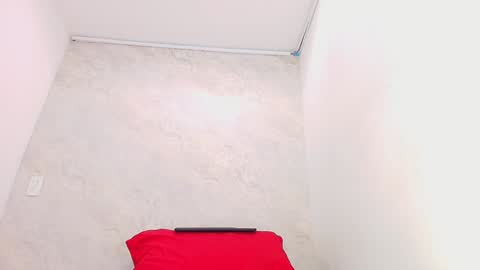 Snapshot of s_sofia_ chatting on 01.28.25 s_sofia_ online show from 01.28.25