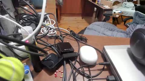 1141323  my Lord Mister Max   moms treasure online show from 11.27.25