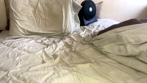 R online show from 01.26.25