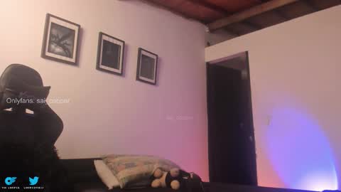 Snapshot of sai_cooper chatting on 01.14.26 sai online show from 01.14.26