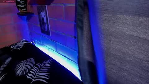 sainix_ online show from 01.02.25