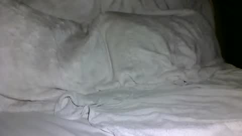 SD17 online show from 02.05.25