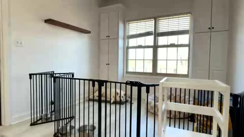 Cum Hanks online show from 03.13.26