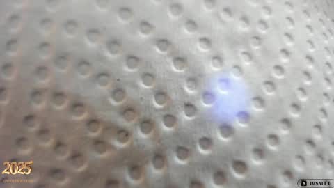 Snapshot of sali_g chatting on 12.31.24 Sali G online show from 12.31.24