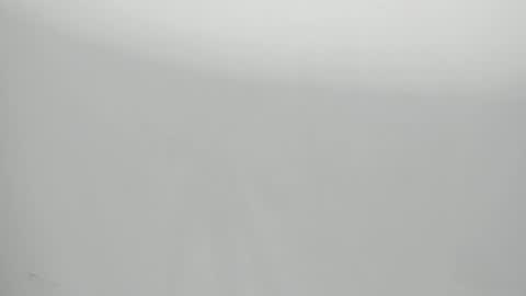 SALVATORE online show from 01.29.25