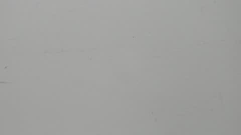 SALVATORE online show from 02.05.25