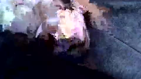 sam122227 online show from 02.03.25