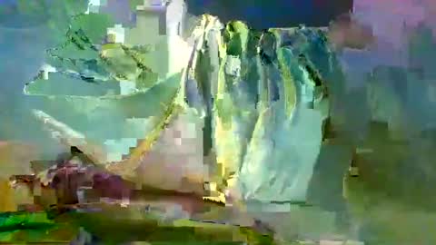 Snapshot of sam223382879 chatting on 12.27.24 sam223382879 online show from 12.27.24