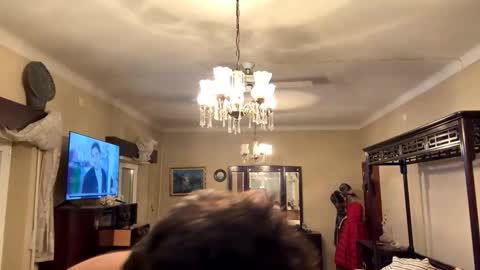 sam_papithebarber online show from 11.29.25