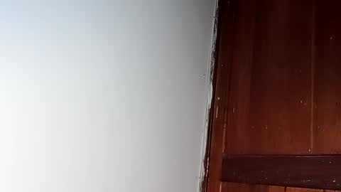 sam online show from 02.28.25