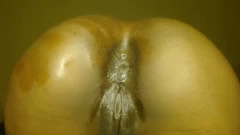 manth online show from 11.14.25