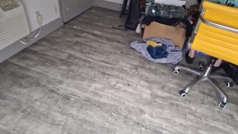 Snapshot of samboiamtho chatting on 01.03.25 samboiamtho online show from 01.03.25