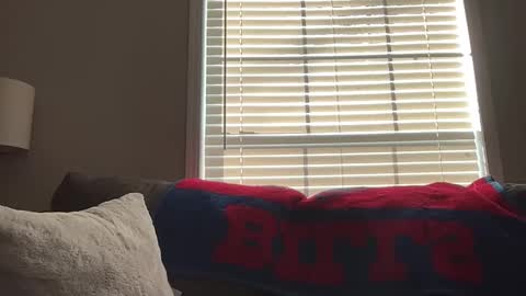 Playful Sammie online show from 01.18.26