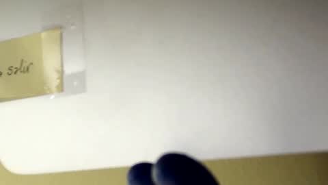 sanbig69 online show from 12.06.24