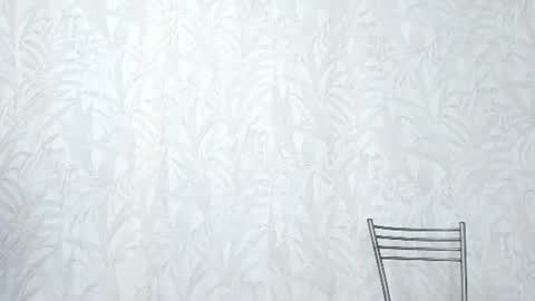 SandraxRay online show from 06.12.26