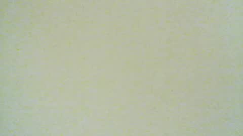 santiagodeamor7077 online show from 08.04.26