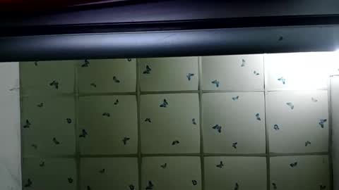 Snapshot of santichai561323 chatting on 02.19.25 santichai561323 online show from 02.19.25