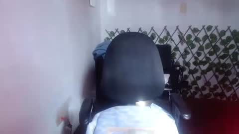 tania online show from 07.24.26