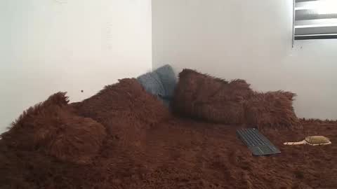 Snapshot of saraandthomas chatting on 01.10.25 sara and thomas online show from 01.10.25