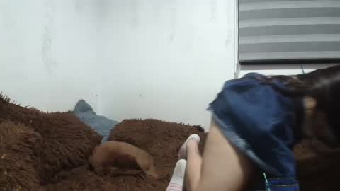 Snapshot of saraandthomas chatting on 01.12.25 sara and thomas online show from 01.12.25