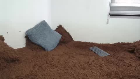 Snapshot of saraandthomas chatting on 02.26.25 sara and thomas online show from 02.26.25