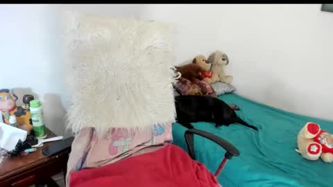 Sarah online show from 12.14.25