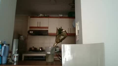 sarita_start online show from 05.11.26