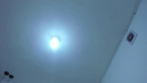 Sasha online show from 12.12.24