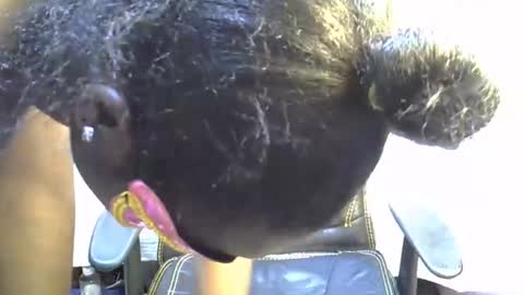 sasha_sexy769 online show from 11.15.25