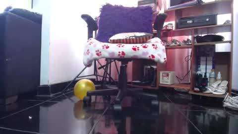 sasha start online show from 02.01.26