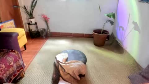 Snapshot of sassy_xyou chatting on 01.15.26 Ms. Oh online show from 01.15.26